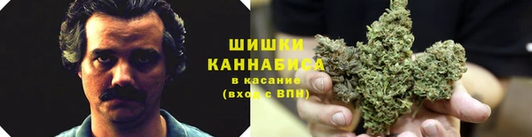 дмт Алзамай