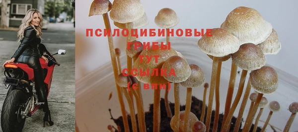 прущий лед Аркадак