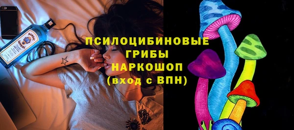 прущий лед Аркадак