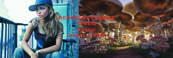 дмт Алзамай